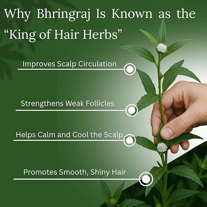 BASIC AYURVEDA Bhringrajasava Drink | 16.23 Fl Oz (480ml) | Natural Bhringraj Ayurvedic Hair Tonic | Supports Hair Growth, Scalp Health & Immune System | No Added Sugar