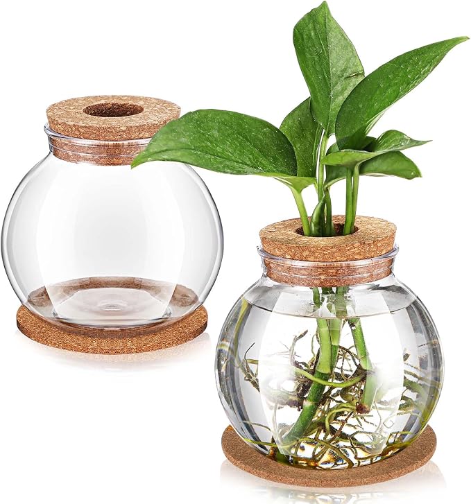 2 Packs Propagation Vases for Plants Plastic Plant Propagation Station with Hole Lid and Cork Coasters Plant Growing in Water Hydroponic Home Office Table Decoration(Fish Bowl Style)