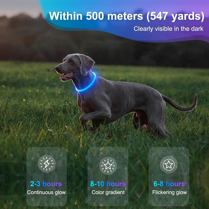 Light Up Dog Collar - Waterproof LED Dog Collar Rechargeble, TPU Cuttable Glow in the Dark Safety Dog Lights for Night Walking(Blue)