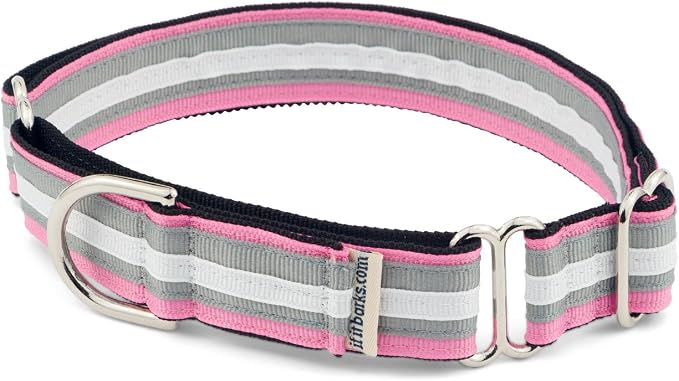 If It Barks 1" Martingale Collar for Dogs, Adjustable Nylon, USA Made, Medium, Spunky