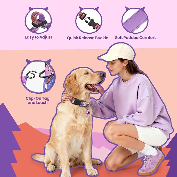 Dog Collar and Leash Set with QR ID Tag, 6 FT Leash, Purple, L