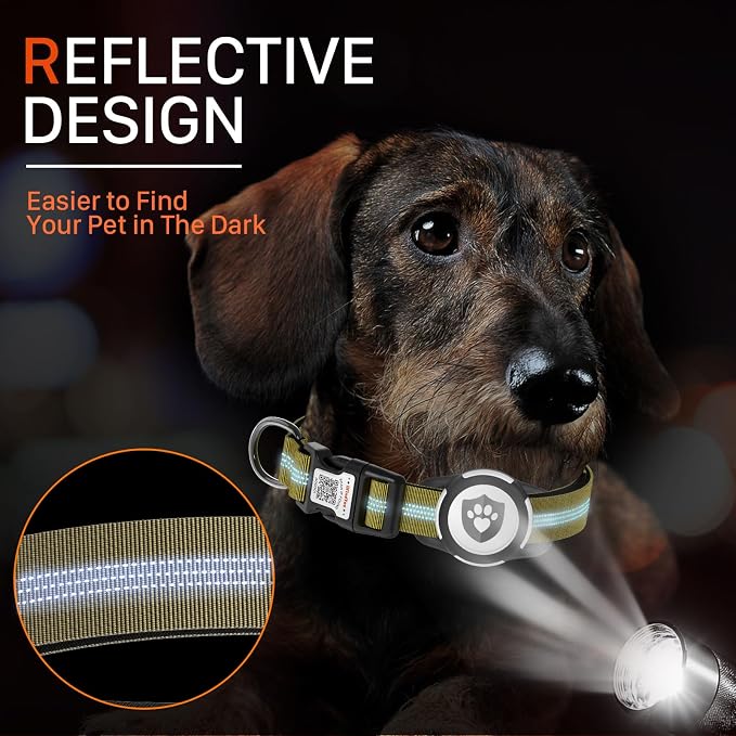 Waterproof AirTag Dog Collar with QR Code Dog Tag, Champagne XS | IP68 waterproof, QR code dog tag, Anti-Lost, Online profile, fits XS-L (8"-26"), Padded nylon, Reflective, No App, No Fees
