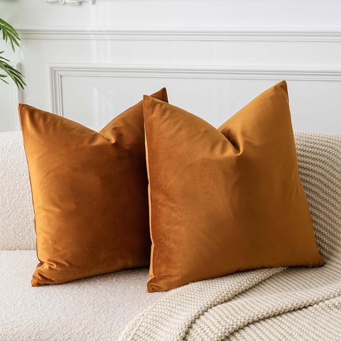 JUSPURBET Rust Throw Pillow Covers Set of 2 Decorative Velvet Pillow Covers for Couch Sofa Bed Soft Euro Cushion Covers Cases with Invisible Zipper for Living Room Home Decor 28x28 inch