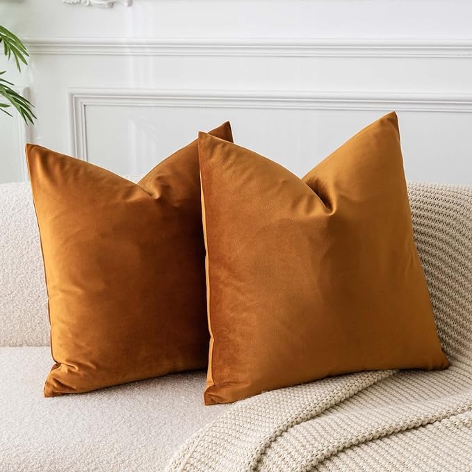 JUSPURBET Rust Velvet Throw Pillow Covers 20x20 inch Set of 2 for Living Room Couch Bedroom Decorative Luxury Soft Cushion Cases with Invisible Zipper