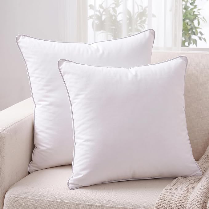 Leeden 16x16 Pillow Inserts Set of 2-16 Inch Decorative Square Pillow Insert, Soft Fluffy Couch Pillow Inserts for Living Room Bed, White Throw Insert Pair