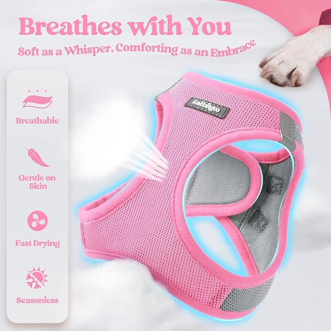 rabbitgoo Dog Harness Small Sized and Leash Set, Step-in Puppy Pet Vest | Light, Soft, Breathable Air Mesh, Easy on and Remove with Hook & Loop, Secure Reflective for Walking, Light Pink & Gray XXS