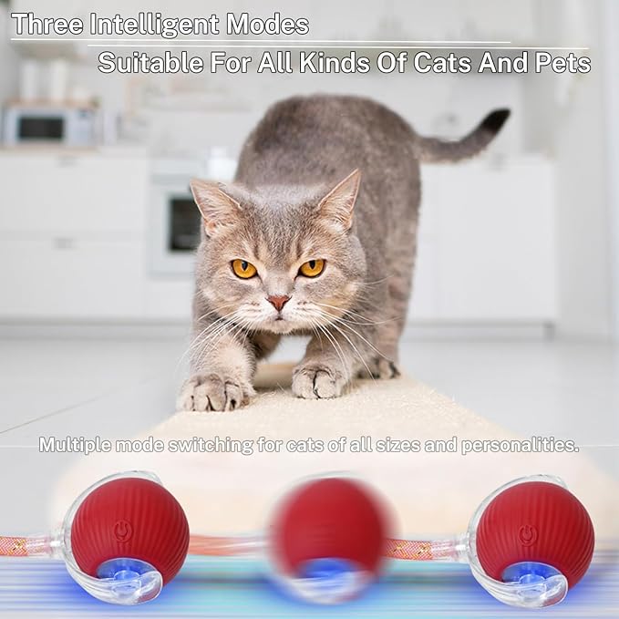 Upgrade 2pcs Innovative Interactive Cat Toy Balls, Automatic Moving Spheres for Cats (Dragonfly)
