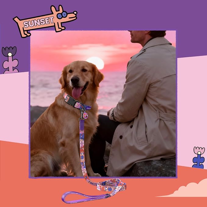 Dog Collar and Leash Set with QR ID Tag, 5 FT Leash, Purple, M