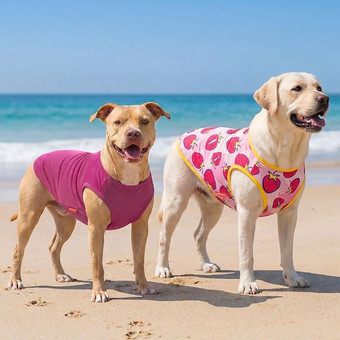 KYEESE 2Pack Dog Shirt, Lightweight Sun Protection Dog T Shirts for Medium Large Dogs Girl, Breathable Mesh Tank Top Sleeveless Pet Reflective Vest, Soft Summer Dogs Clothes, Strawberry+Rose Red, 2XL