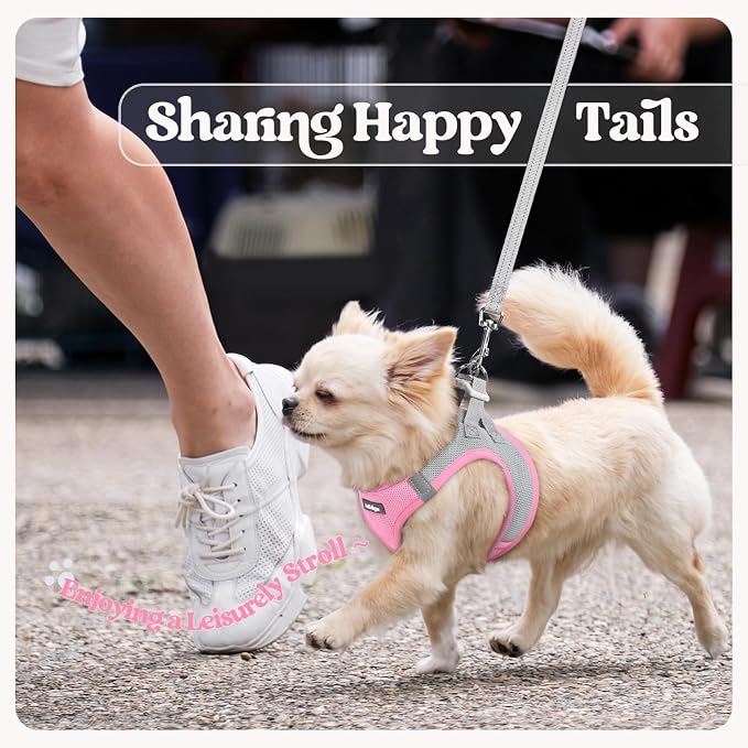rabbitgoo Dog Harness Small Sized and Leash Set, Step-in Puppy Pet Vest | Light, Soft, Breathable Air Mesh, Easy on and Remove with Hook & Loop, Secure Reflective for Walking, Light Pink & Gray XXS