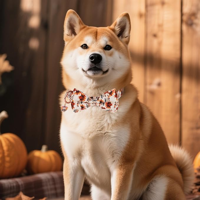 ADOGGYGO Thanksgiving Dog Collars with Bow, Gobble Turkey Pet Collar, M
