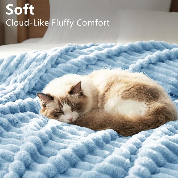 HIMEET Light Blue Queen Blanket for Bed, 300GSM Ribbed Fleece, 90 x 90 in | Ultra Soft Flannel, All-Season Lightweight Warmth, Cozy Bed Coverage & Bedroom Decor, Gift for Men & Women, Machine Washable