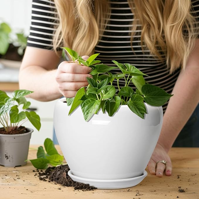 Ceramicfor Ceramic Pot for Plants - 8 Inch Ceramic Planter for Indoor Plants, Modern Round Planter with Drainage Hole and Saucer, Plant Lover Gifts, Home Office Garden Decor, White