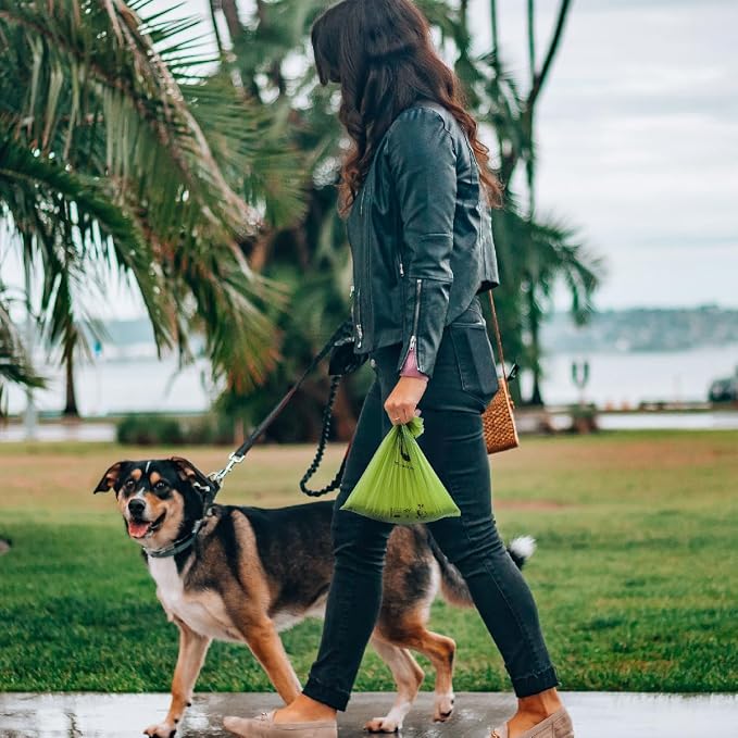Certified Home Compostable Dog Poop Bags, 120 Plant Based Bags (8 Rolls) | TÜV AUSTRIA Home Compost, ASTM D6400, EN 13432 and NF T51-800 Certified, Extra Thick, Unscented, Leak Proof, Cornstarch