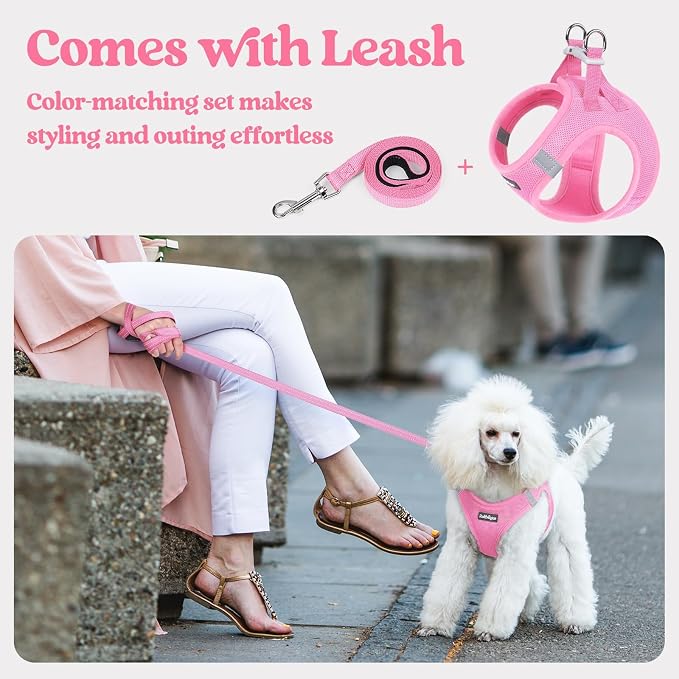 rabbitgoo Dog Harness Small Sized and Leash Set, Step-in Puppy Pet Vest | Light, Soft, Breathable Air Mesh, Easy on and Remove with Hook & Loop, Secure Reflective for Walking, Light Pink XS