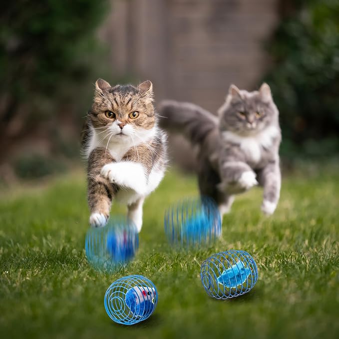 Jecery 5 Pcs Cat Toys Spring,Mouse,Blue White