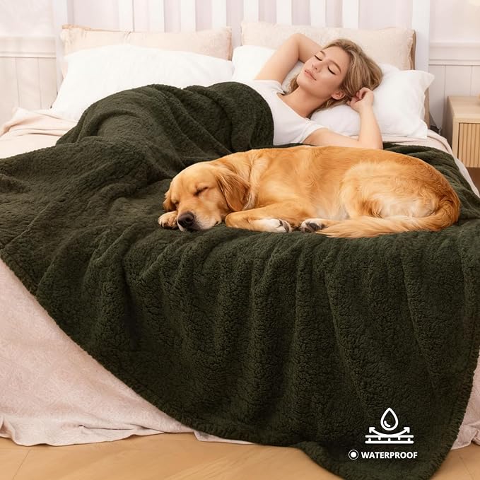 Waterproof Dog Blanket 60 x 80 in for Large Dogs, XL Washable Pet Blanket | Aodisman Thick Fleece Dog Throw Blanket, Leakproof Washable Furniture Protector for Sofa, Couch, Bed, Crate & Kennel, Green
