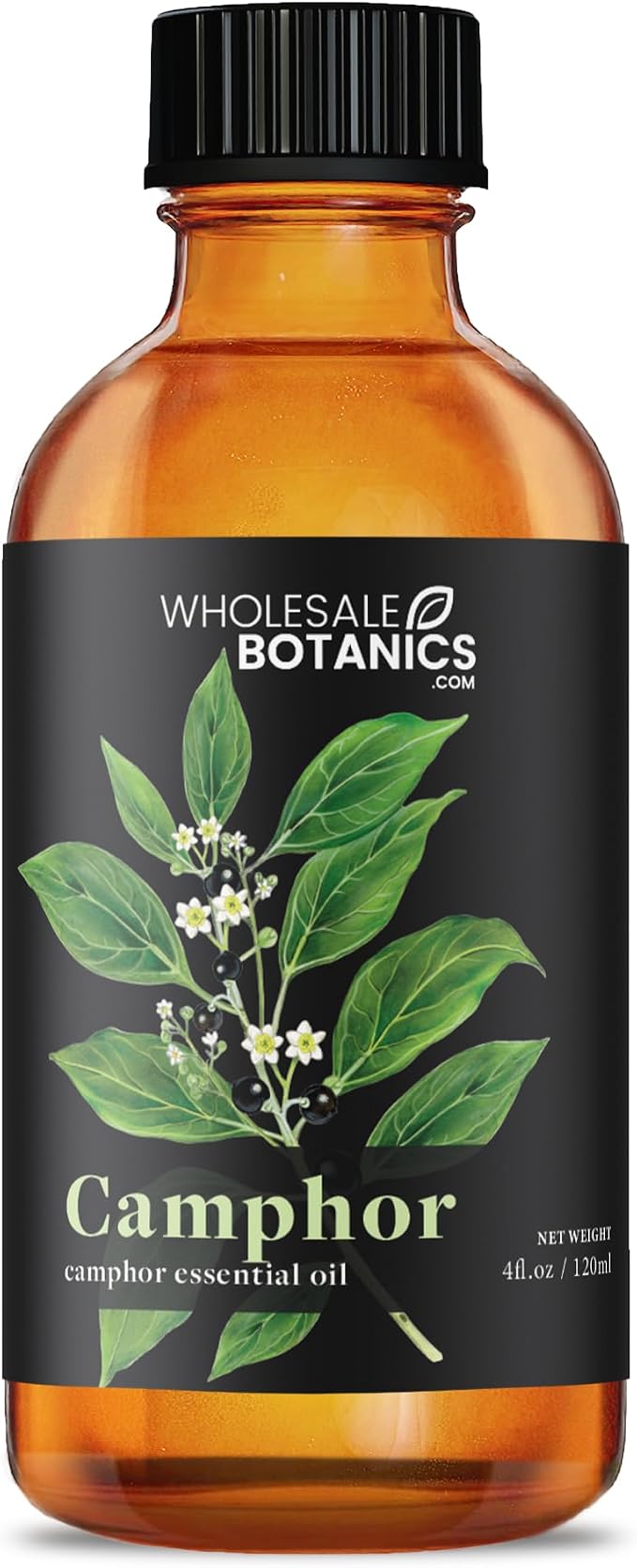 Camphor Essential Oil by Wholesale Botanics | Premium Grade 100% Pure Essential Oil | for Aromatherapy, Soaps, Lotions, & Candles | Vegan & Cruelty Free (4 Fl. Oz.)