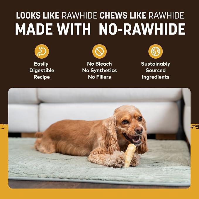Earth Animal No Hide Dog Chews - Small Rolls 2 Count Peanut Butter | Small Rolls Peanut Butter Flavored Natural Rawhide Free Long Lasting Dog Chews - Pet Treats for Small Dogs