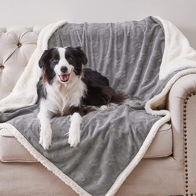 Waterproof Blanket for Bed, Dog Blankets for Large Dogs, Waterproof Cat Blanket Washable, Soft Sherpa Fleece Puppy Blanket, Reversible Throw Protector for Couch Car, 50"X60", Grey