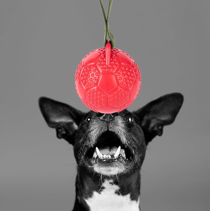 Fuzzl Eco Rubber Chuck & Treat Soccer Ball - Red - Long Lasting Dog Chew Toys for Aggressive Chewers Strong Dog Toy for Dogs Durable Puppy Toys 13cm