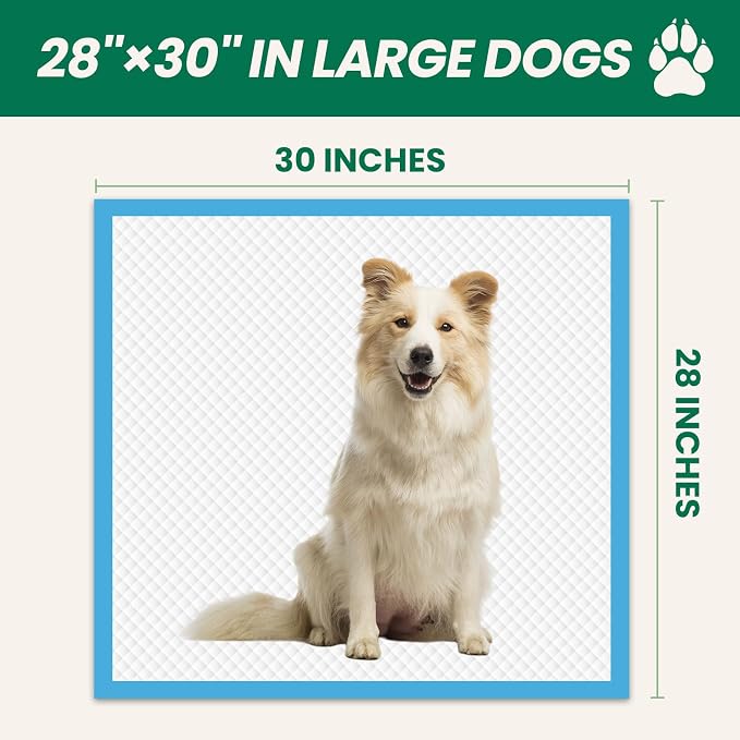 200 Count Large Dog & Cat Puppy Pee Pads - 28"x30" Absorbent Potty Training Pads | Leakproof Quick-Dry Disposable Pet Pads for Puppies, Dogs & Cats | Indoor, Outdoor, Litter Box, Housebreaking Use