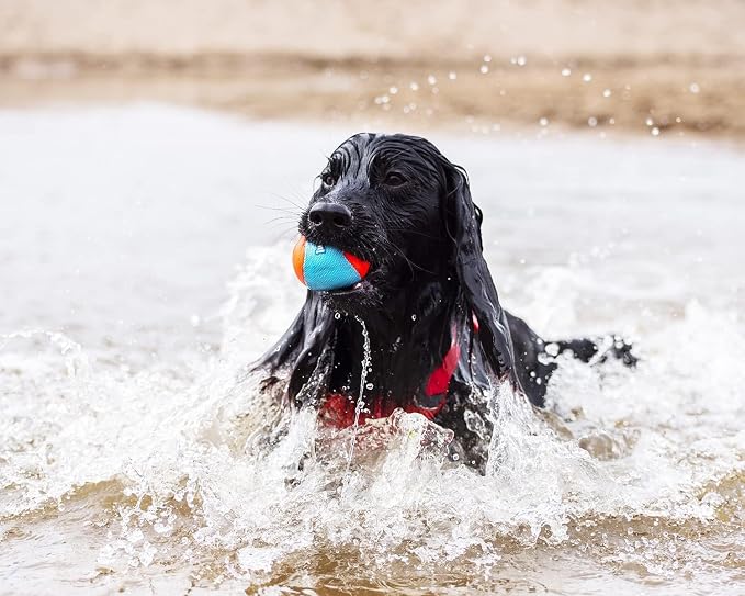 Chuckit! Amphibious Fetch Balls, Set of 3, Medium (Pack of 12)