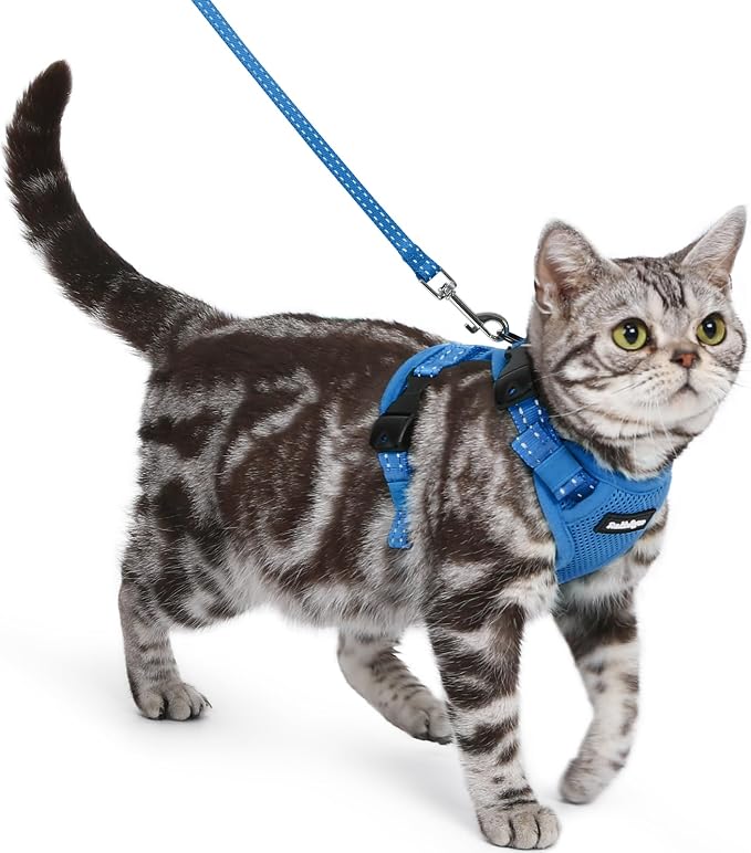 rabbitgoo Cat Harness and Leash, Easy-on with Neck Buckle, Royal Blue