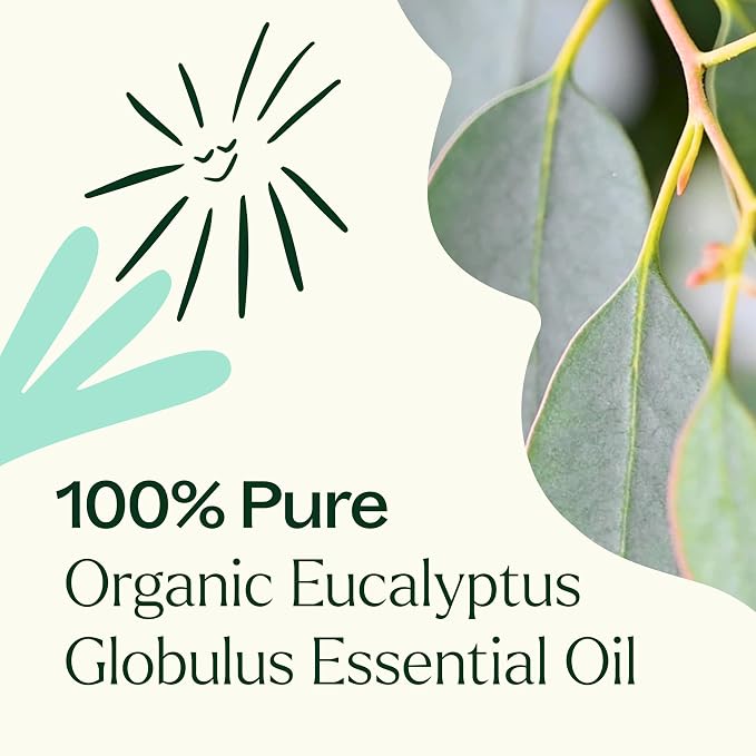Plant Therapy Organic Eucalyptus Globulus Essential Oils 100 mL (3.3 oz), 100% Pure, USDA Certified Organic, Undiluted, Natural Aromatherapy for Respiratory Support & Focus