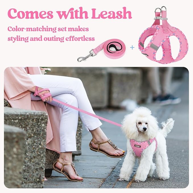 rabbitgoo Dog Harness Small Sized and Leash Set, Step-in Puppy Pet Vest | Light, Soft, Breathable Air Mesh, Easy on and Remove with Hook & Loop, Secure Reflective for Walking, Pink & Plaid Trim XS