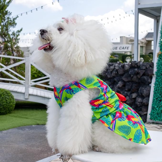 CuteBone Dog Mesh Dress Puppy Sundress Pet Outfit Summer Fashion for Small Dogs Girl Cat Clothes