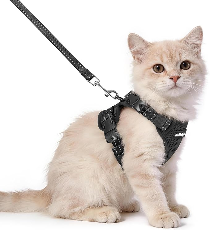 rabbitgoo Cat Harness and Leash, Easy-on with Neck Buckle, Black