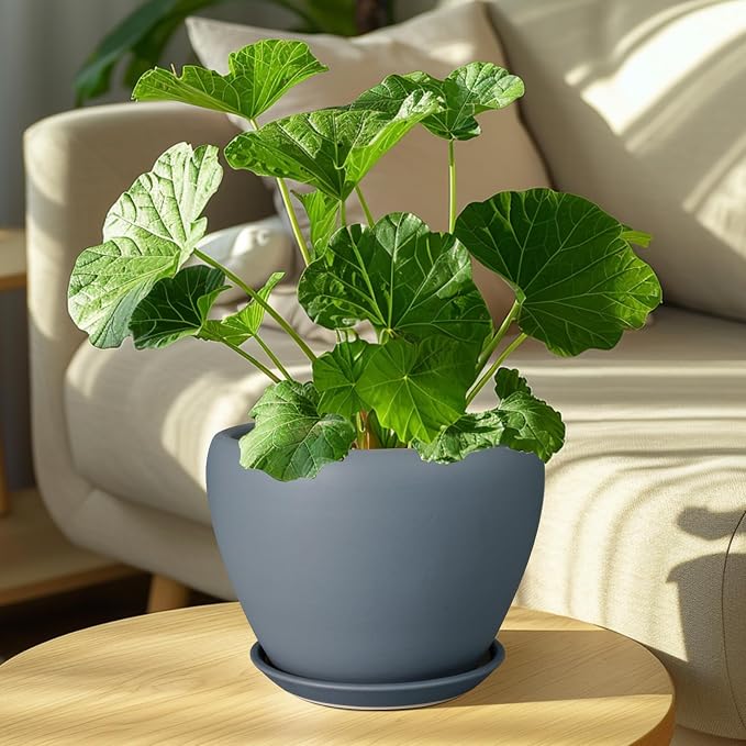 Ceramicfor Ceramic Pot for Plants - 8 Inch Plant Pot Indoor with Drainage Hole and Saucer Decorative Planter for Outdoor Plants Modern Flower Pot for Home Decor Garden Gray