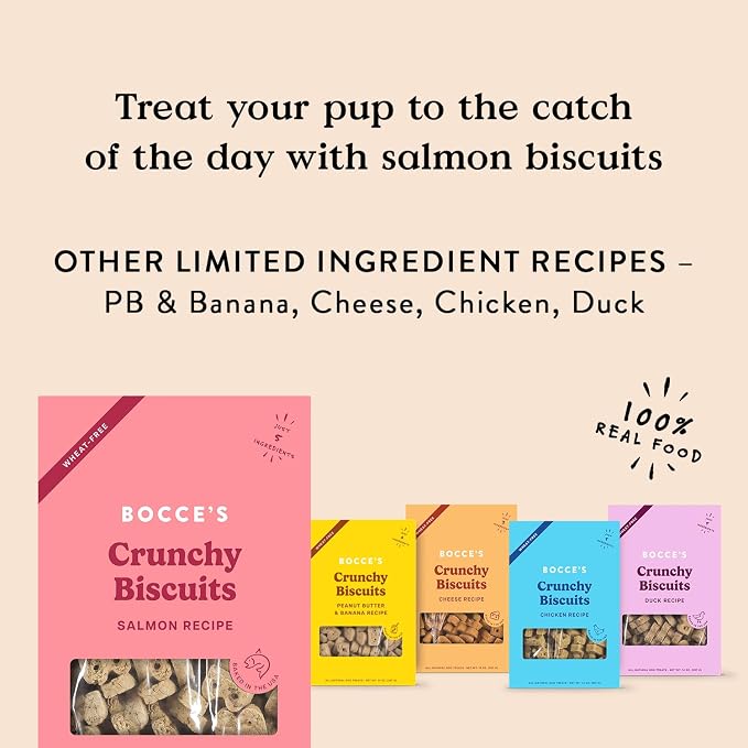 Bocce's Bakery Salmon Flavor Crunchy Biscuits Dog Treats, 14 oz | Oven Baked, Wheat-Free Everyday Dog Treat Biscuits - Made with Real, Limited Ingredients and Baked in The USA