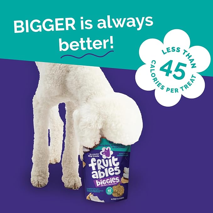 Fruitables Biggies Dog Biscuits, Pumpkin Treats for Dogs, Healthy Doggie Biscuits, Crunchy Treats, No Wheat, Corn or Soy, Made in the USA, Almond Butter and Coconut Flavor, 16oz