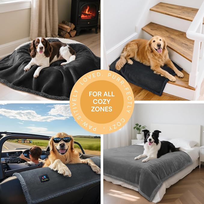 Luciphia Waterproof Bed Blanket Washable,Soft Sherpa Fleece Puppy Reversible Throw Blankets for Medium Large Dog Cat,Furniture Cover Protector Couch Bed from Liquid Pee and Pet Fur, Black,65" x 57"