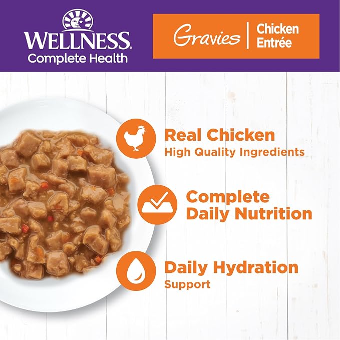 Wellness Complete Health Gravies Adult Canned Wet Cat Food, Natural, Protein Rich, Grain Free, Chicken Entrée Recipe, 5.5 oz, Pack of 12 Cans