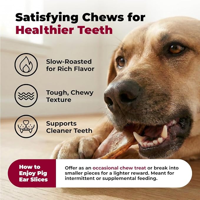 Best Pet Supplies GigaBite Slivers Pig Ears for Dogs - 1.8 lbs | Single Ingredient, All Natural, Supports Dental Health, Perfect for Training, Slow Roasted Chews
