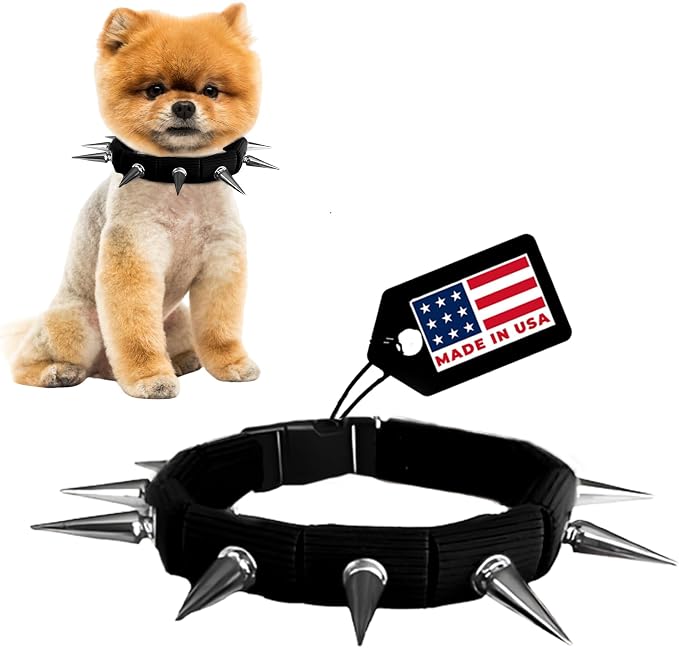 CoyoteCollar Spike Dog Collar, Adj/Replaceable Spikes, Small, Black