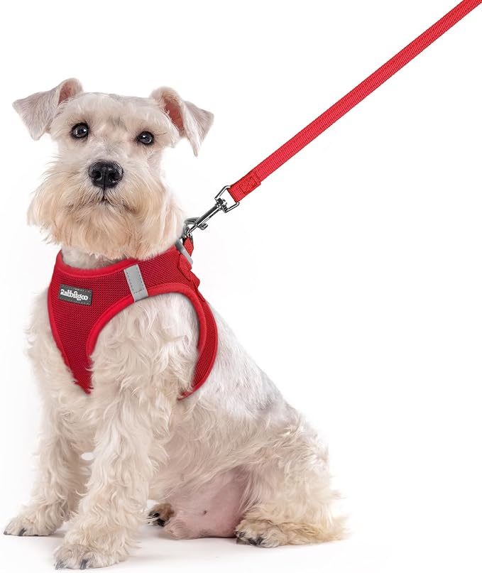 rabbitgoo Dog Harness Medium Sized and Leash Set, Step-in Puppy Pet Vest | Light, Soft, Breathable Air Mesh, Easy on and Remove with Hook & Loop, Secure Reflective for Walking, Red XXL