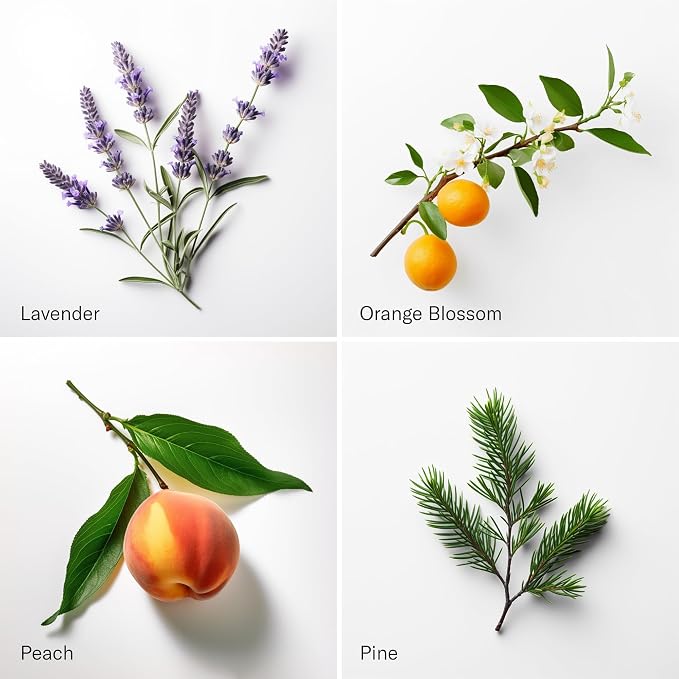 AromaTech The Hotel & White Tea & Thyme Set | Aroma Diffuser Essential Oils Blend of The Hotel Peach, Red Rose, Pine Thyme, Amber - 120 Milliliter