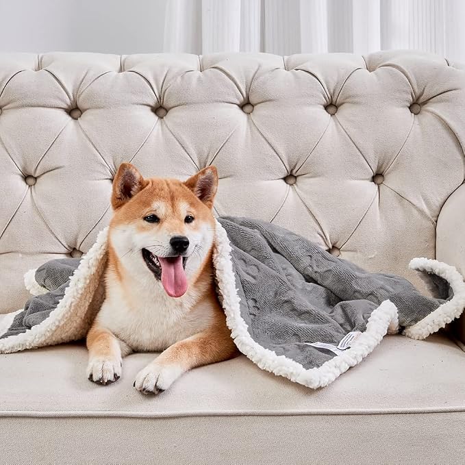 Dog Blankets for Small Dogs - Waterproof Cat Blanket Washable - Sherpa Fleece Puppy Blanket, Soft Plush Reversible Throw Protector for Bed Couch Car Sofa, 30"X40", Grey