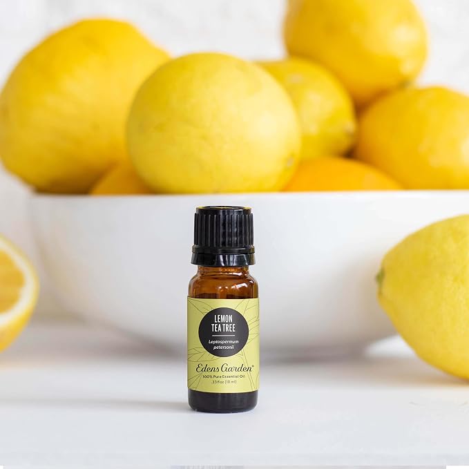 Edens Garden Lemon Tea Tree Essential Oil- 100% Pure Premium Grade, Undiluted, Natural, Therapeutic, Aromatherapy, The Best for Diffuser, Candle, Humidifiers, Kid Safe 10 ml (.33 fl oz)