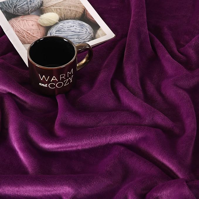 TASTHROW Large Flannel Fleece Throw Blanket, 50×70 Inch | Cozy Lightweight Thick Blanket - All Seasons Suitable for Women, Men and Kids (Purple)