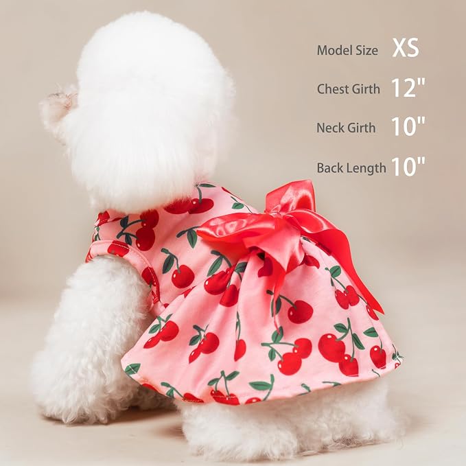 PUPTECK Stylish Cute Dog Dress with Bow Puppy Clothes, Pink Cherry XS | Breathable Lightweight Adorable Puppy Doggie Pet Clothes Outfits Apparel Costume for Party Holiday Photoshoot