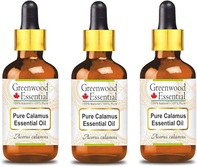 Greenwood Essential Pure Calamus Essential Oil (Acorus Calamus) with Glass Dropper Steam Distilled (Pack of Three) 100ml X 3 (10.1oz)