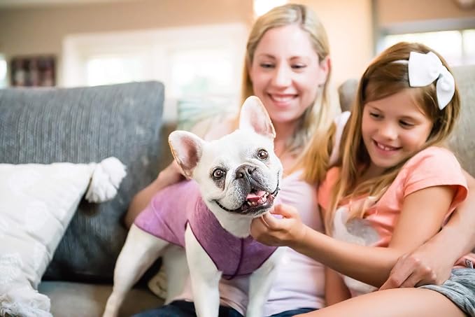 Sun Shield Dog Tee – T-Shirt for Canines – UV Protection, Pet Anxiety Relief, Wound Care – Protects Against Foxtails, Aids Alopecia - Machine Washable, All Season – Size 30 – Violet