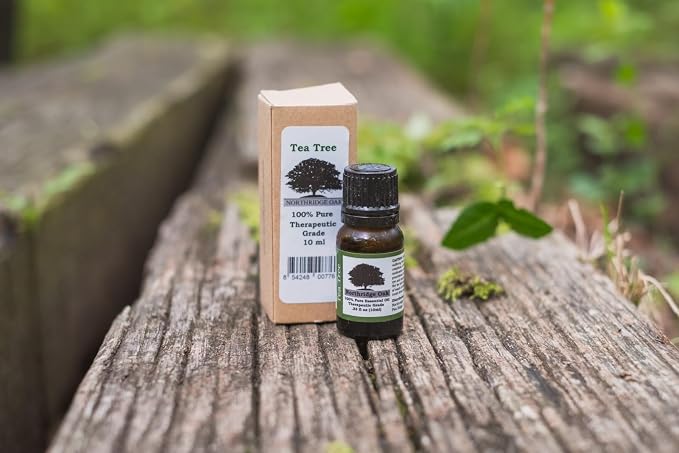 100% Pure, Undiluted Tea Tree Essential Oil - 3 Pack - Therapeutic Grade Melaleuca alternifolia Vitality-Boosting Tea Tree Oil for Aromatherapy