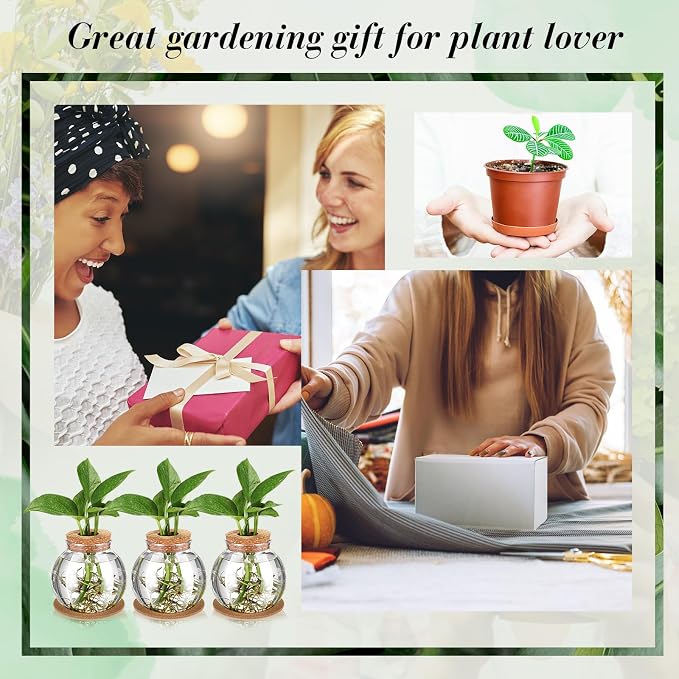 2 Packs Propagation Vases for Plants Plastic Plant Propagation Station with Hole Lid and Cork Coasters Plant Growing in Water Hydroponic Home Office Table Decoration(Fish Bowl Style)