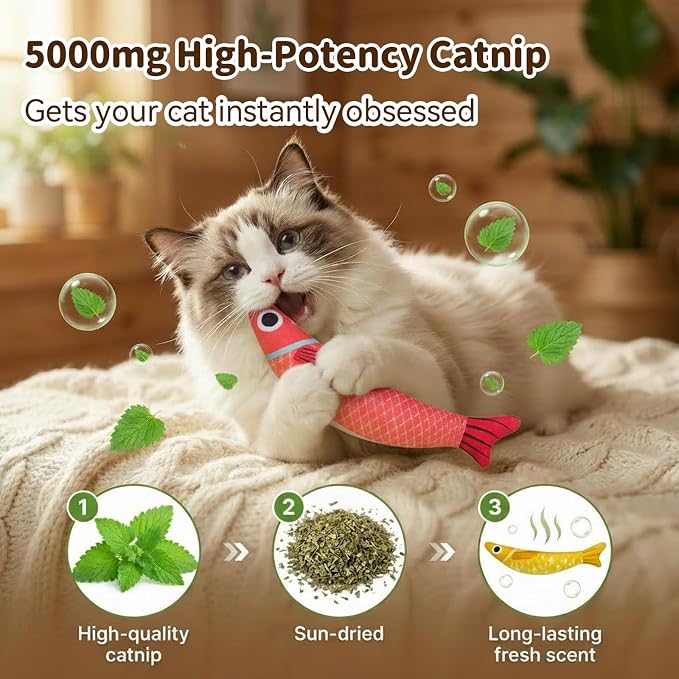 Cat Toys for Indoor Cats, Fish-Shaped Pillow, 2 Pack Red+Green
